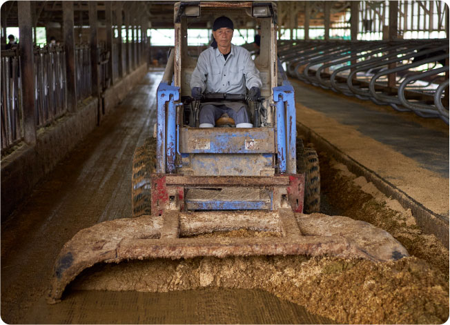 The rice hulls on the cow bed is cleaned twice a day and delivered to a power plant about five minutes away by car.