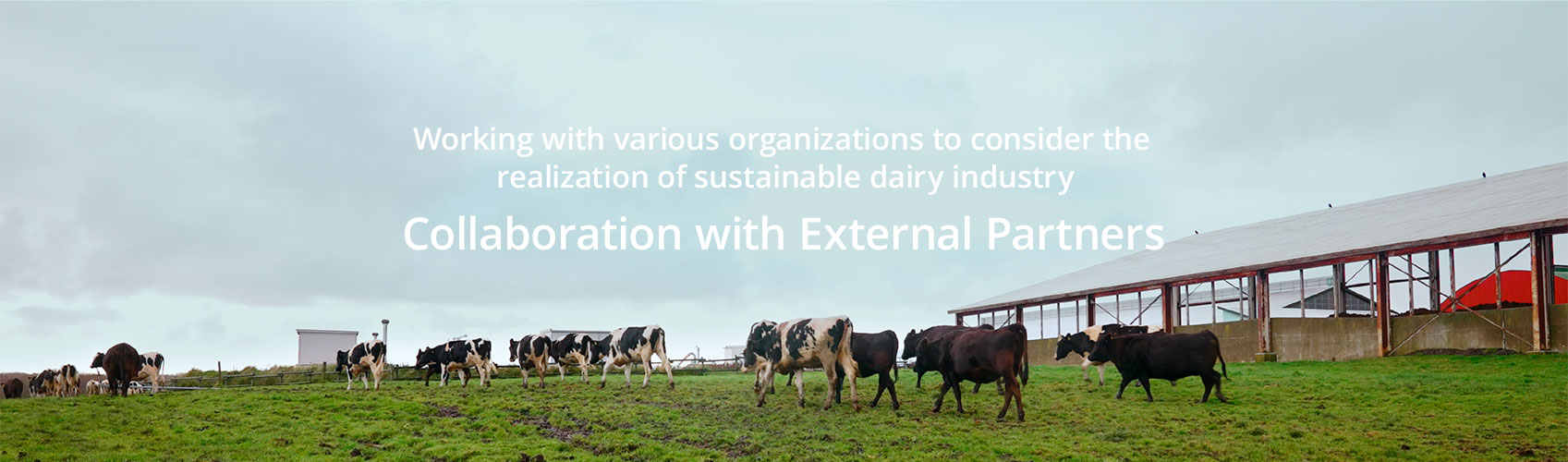 Working with various organizations to consider the realization of sustainable dairy industry Collaboration with External Partners