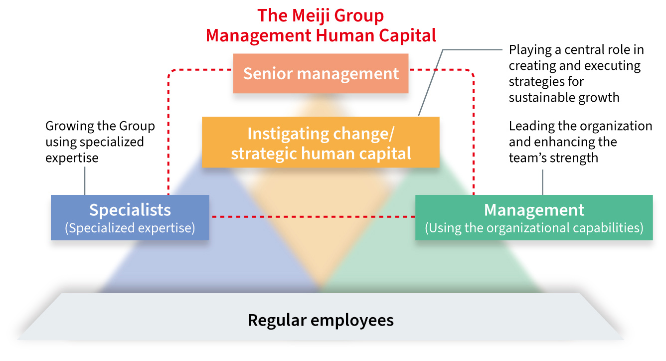 figure: The Meiji Group Management Human Capital