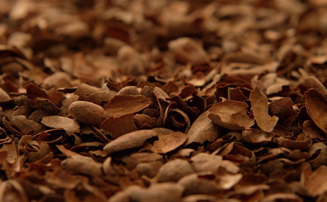 photo of cacao husk