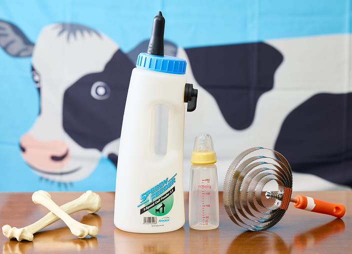 photo of teaching materials used in the Milk Class
