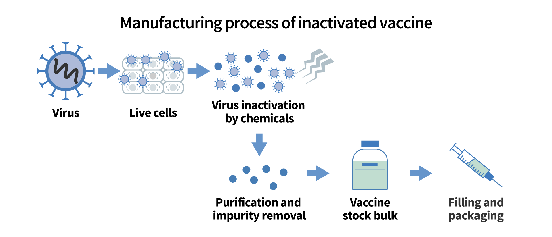 figure of manufacturing process of inactivated vaccine