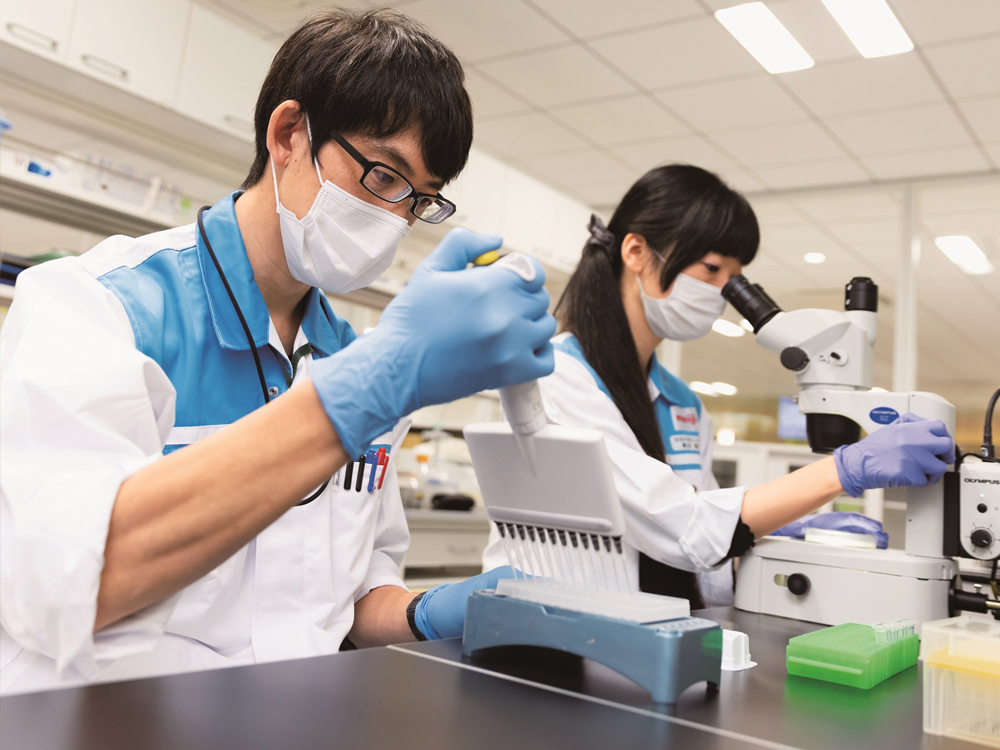 Researchers at Meiji Group observing a sample of lactic acid bacteria