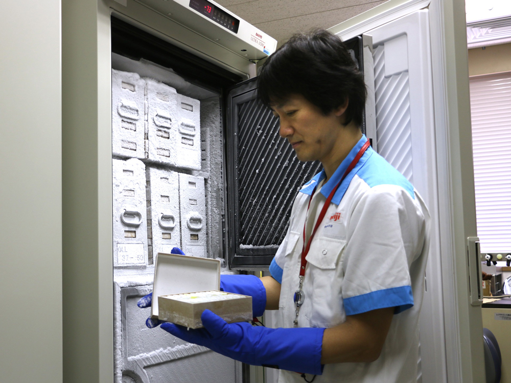 A researcher at Meiji Group removing a sample from a lactobacilli library