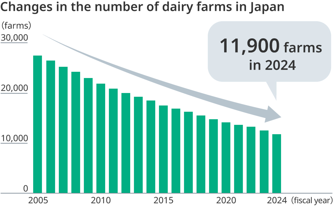 Graph showing a year-by-year decline in the number of dairy farms in Japan, reaching 11,900 in 2024