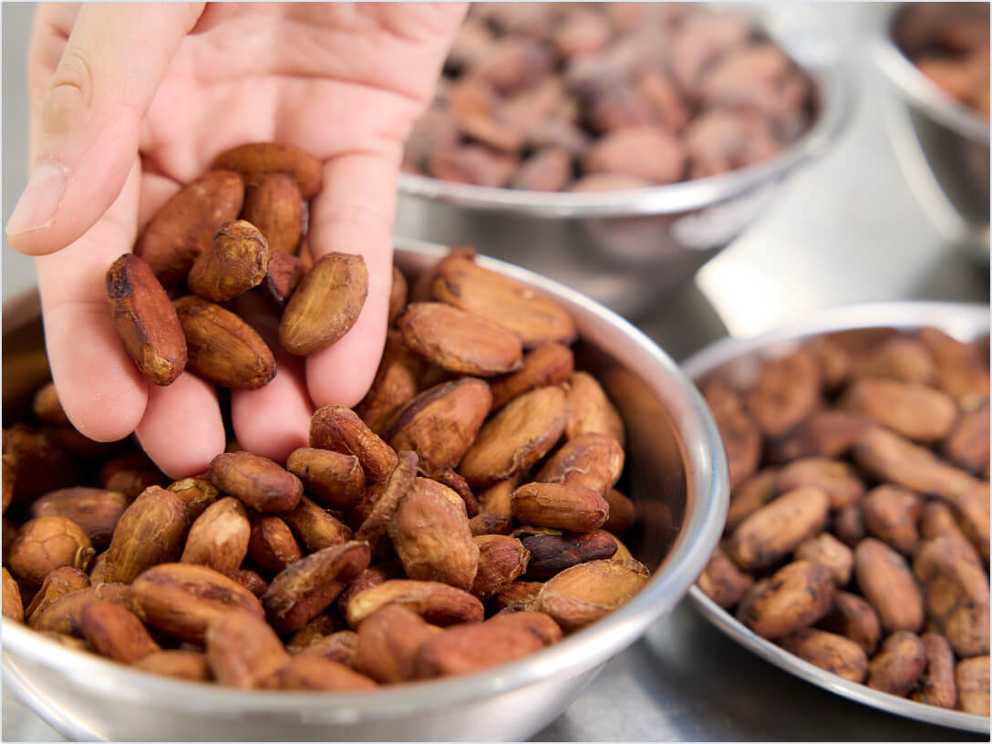 photo of cocoa beans
