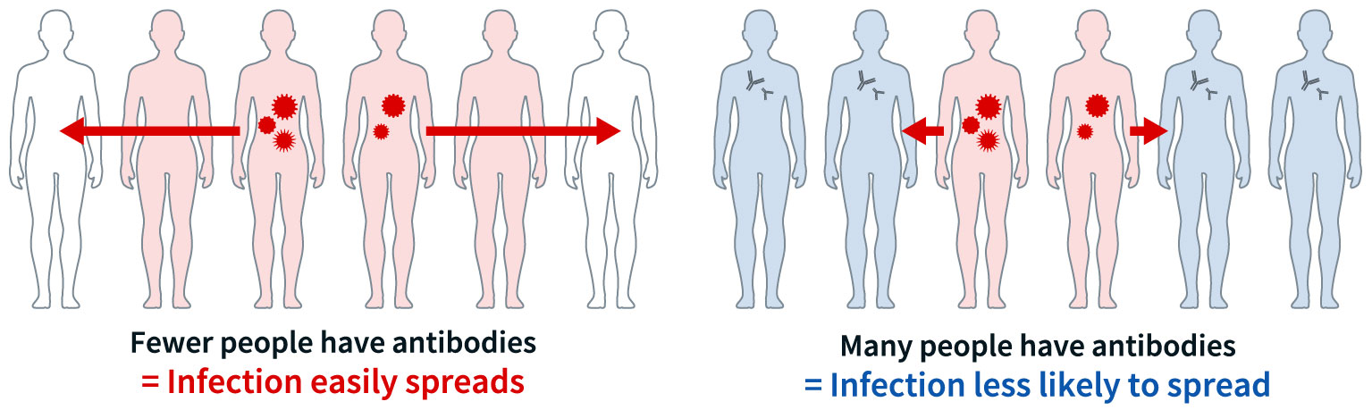 figure of herd immunity
