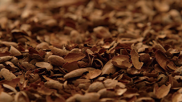 photo of cacao husks