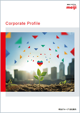 写真：会社案内パンフレットの表紙