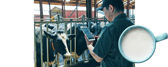 画像：デジタル機器を使った酪農の現場