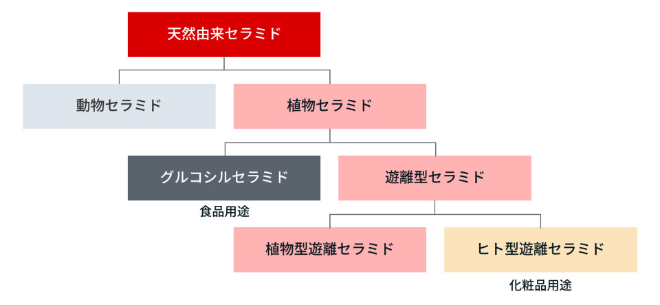 図：セラミドの分類図