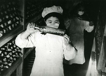 写真：1940年代のペニシリン製造の様子