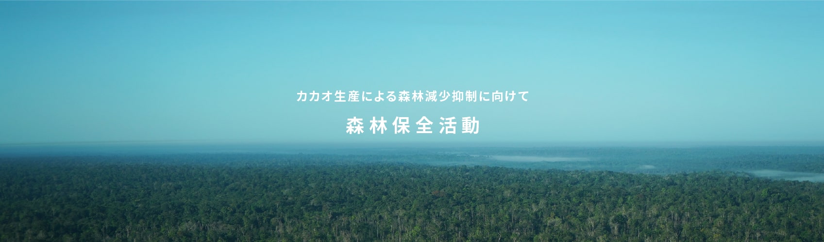 カカオ生産による森林減少抑制に向けて 森林保全活動