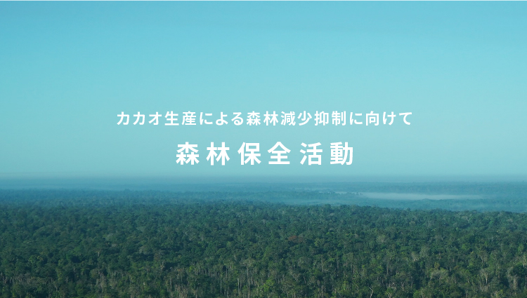 カカオ生産による森林減少抑制に向けて 森林保全活動