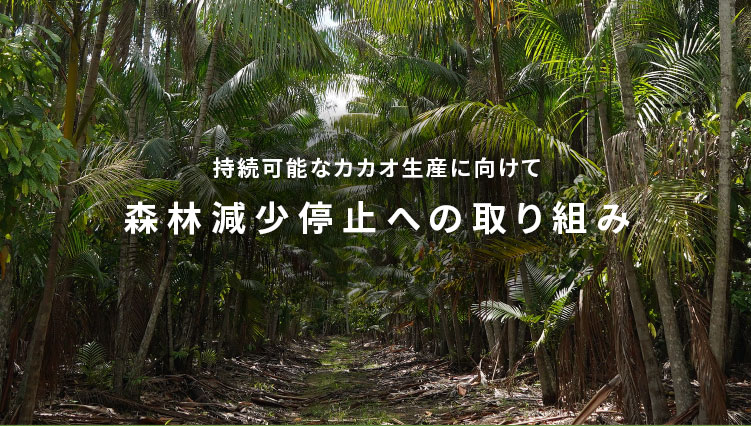 持続可能なカカオ生産に向けて 森林減少停止への取り組み