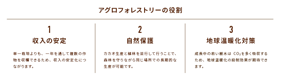 アグロフォレストリーの役割 1収入の安定 単一栽培よりも、一年を通して複数の作物を収穫できるため、収入の安定化につながります。 2自然保護 カカオ生産と植林を並行して行うことで、森林を守りながら同じ場所での長期的な生産が可能です。 3地球温暖化対策 成長中の若い樹木はCO₂を多く吸収するため、地球温暖化の抑制効果が期待できます。