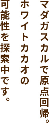 マダガスカルで原点回帰。ホワイトカカオの可能性を探索中です。