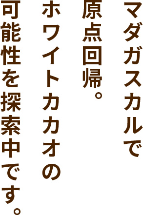 マダガスカルで原点回帰。ホワイトカカオの可能性を探索中です。