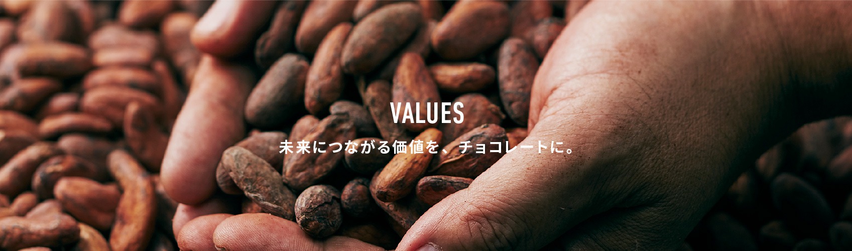 VALUES 未来につながる価値を、チョコレートに。