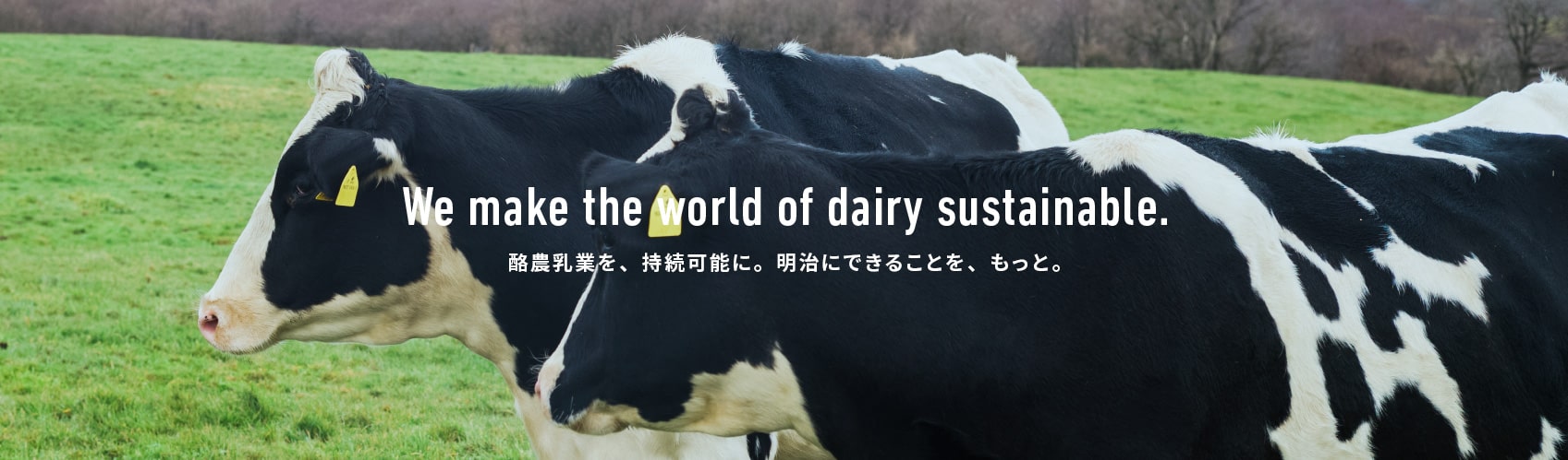 We make the world of dairy sustainable. 酪農乳業を、持続可能に。明治にできることを、もっと。