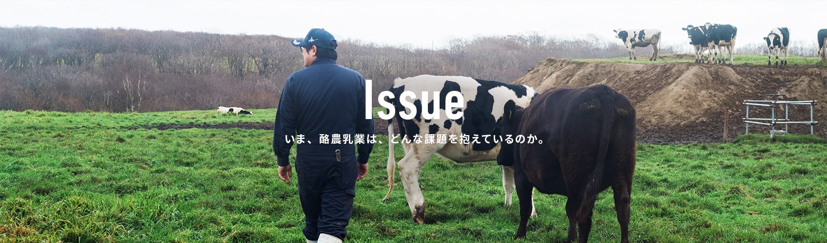 Issue いま、酪農乳業は、どんな課題を抱えているのか。