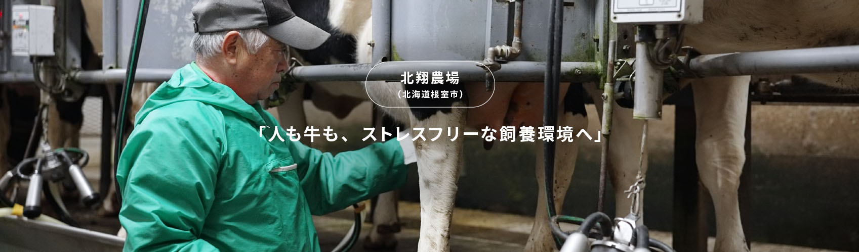 CASE2 「人も牛も、ストレスフリーな飼養環境へ」 北翔農場（北海道根室市）