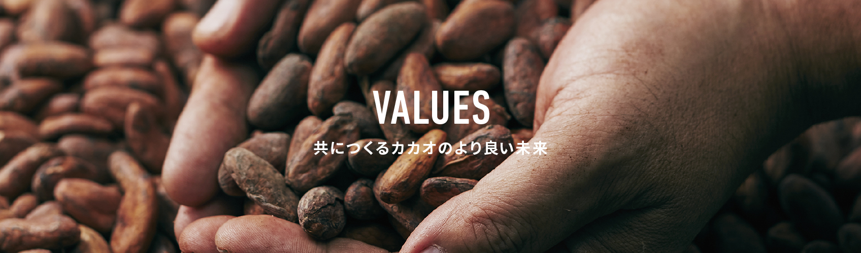 VALUES 共につくるカカオのより良い未来