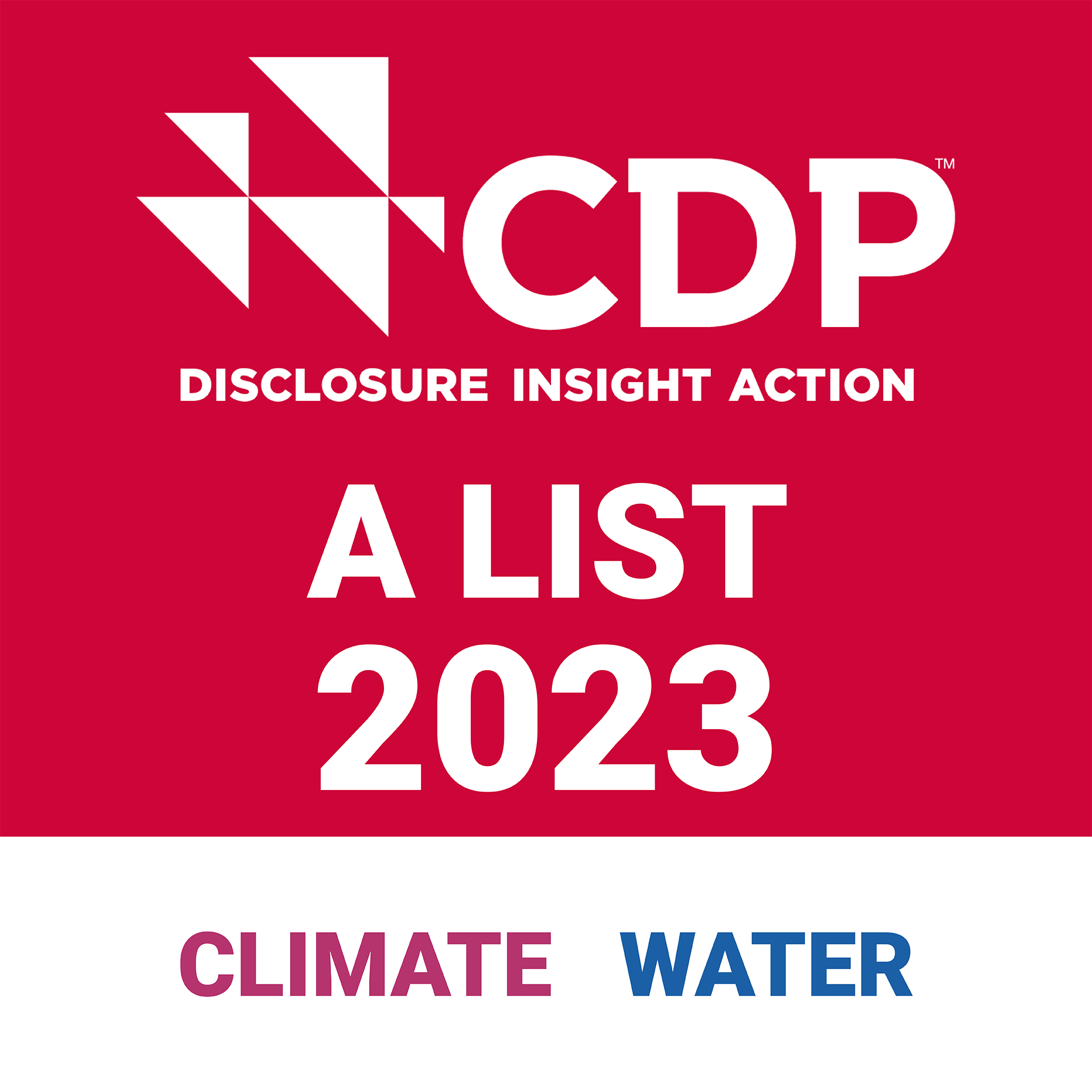 ロゴ：CDP DISCLOSURE INSIGHT ACTION