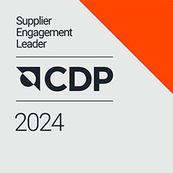 ロゴ:CDP DISCLOSURE INSIGHT ACTION