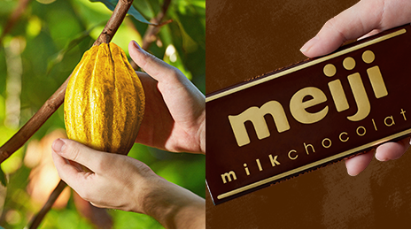 画像：明治ミルクチョコレート