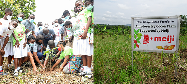 写真：森林保護