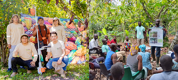 写真：カカオ栽培支援