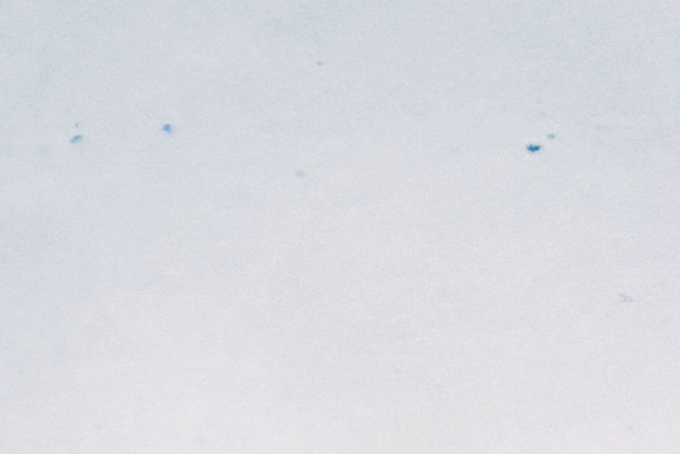 写真：再生紙の完成