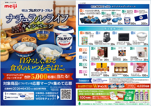 写真：キャンペーンチラシ