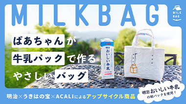 画像：ばあちゃんが牛乳パックで作るやさしいバッグ